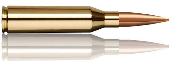 .300 norma magnum